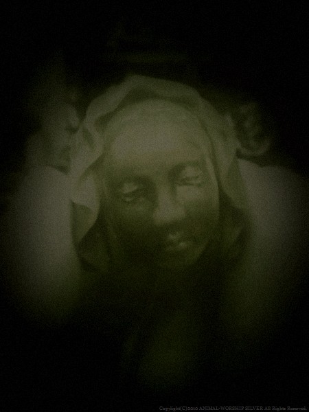 徐々に・・・ 徐々に・・・