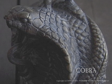 cobra8.jpg